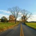 So Many Roads