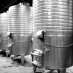 Jefferson’s Grapes:  Virginia Wine Country