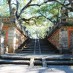 Vizcaya’s Gardens:  A Photo Tour