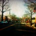 Observation Desk: Tarrytown