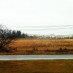 New Series: Observation Desk